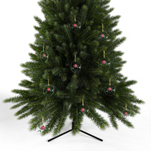 Load image into Gallery viewer, Acrylic Ornaments: Rodi 2025