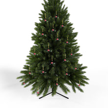 Load image into Gallery viewer, Acrylic Ornaments: Rodi 2025