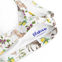 Load image into Gallery viewer, Padded Bikini Top: XORIO Print