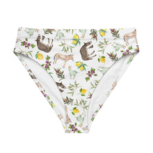 Load image into Gallery viewer, High-Waisted Bikini Bottom: XORIO Print
