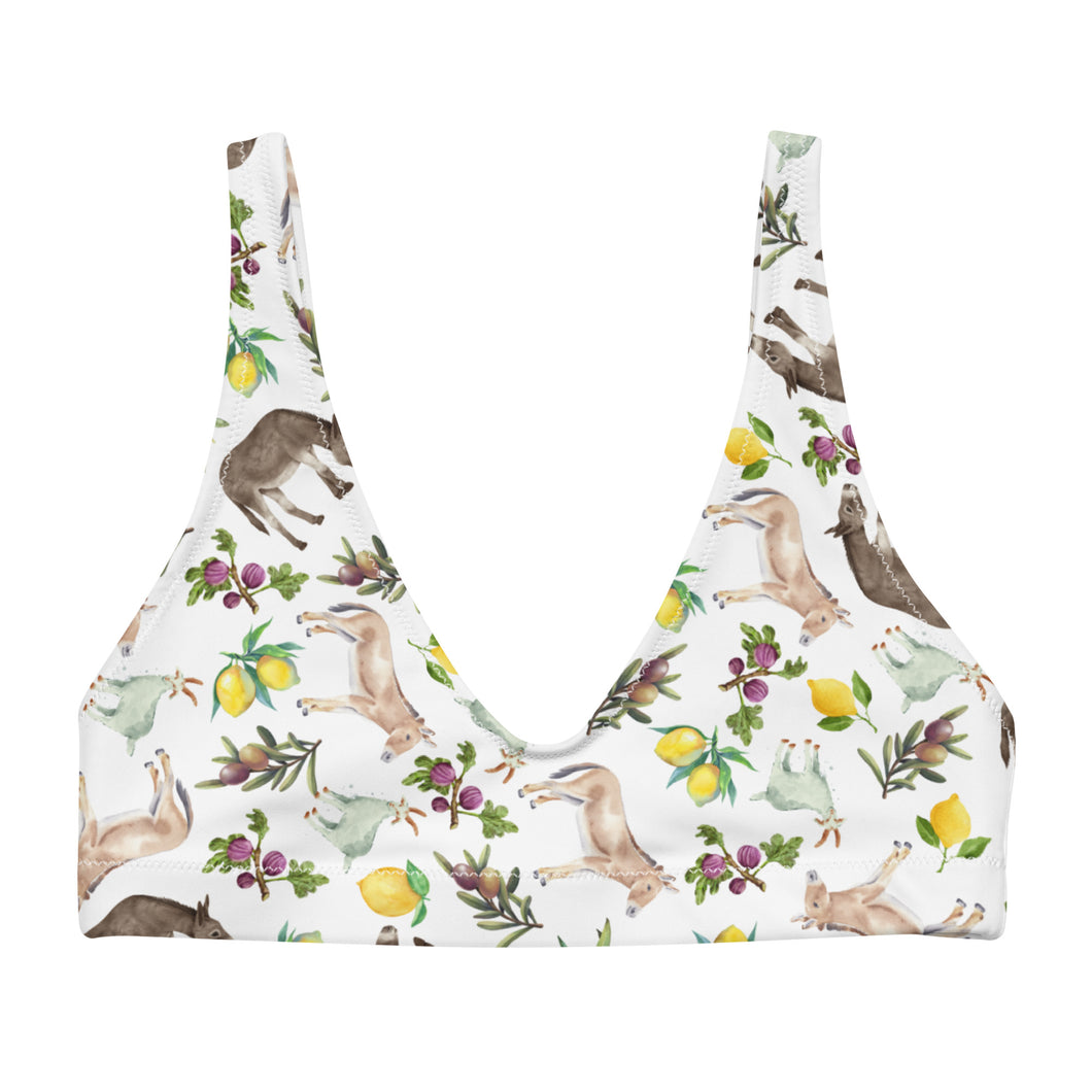 Padded Bikini Top: XORIO Print