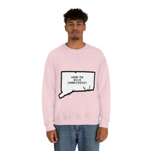 Load image into Gallery viewer, Unisex Heavy Blend™ Crewneck Sweatshirt: WHERE THE HELL IS CT?-Black
