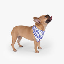 Load image into Gallery viewer, Pet Bandana: Mati Heart
